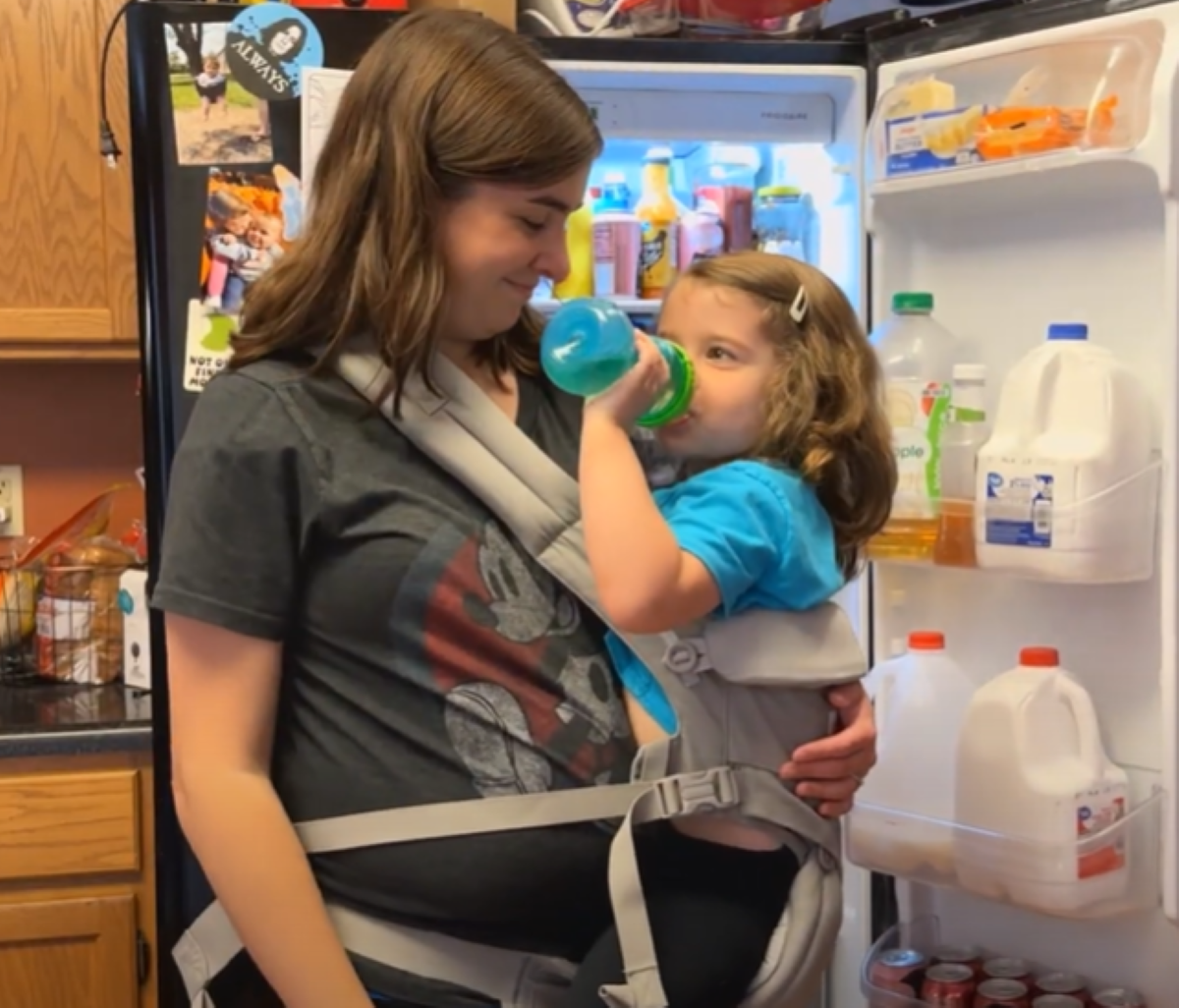 BabyBjorn vs Ergobaby Baby Carrier Comparison Kid Travel