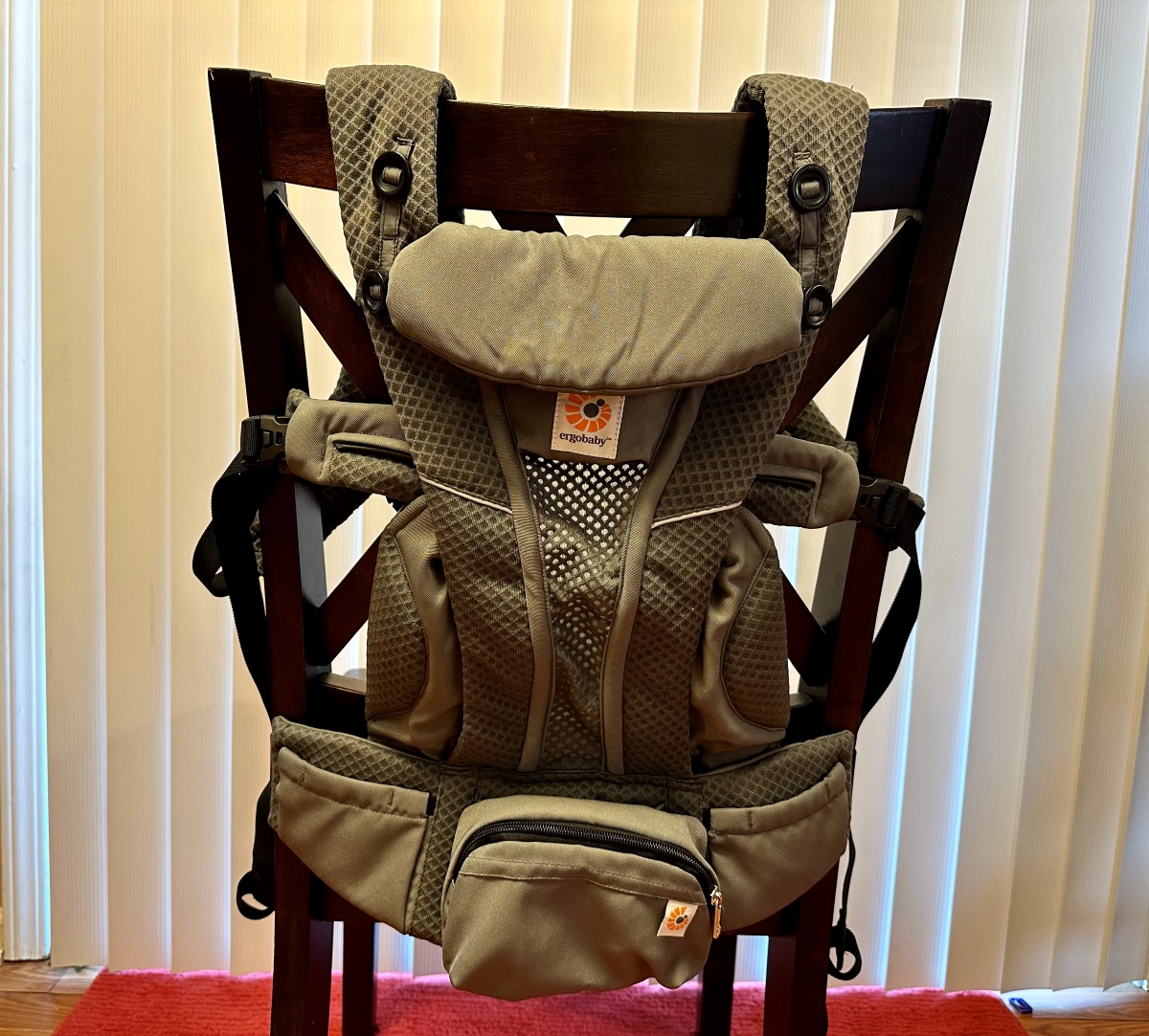 BabyBjorn vs Ergobaby Baby Carrier Comparison Kid Travel