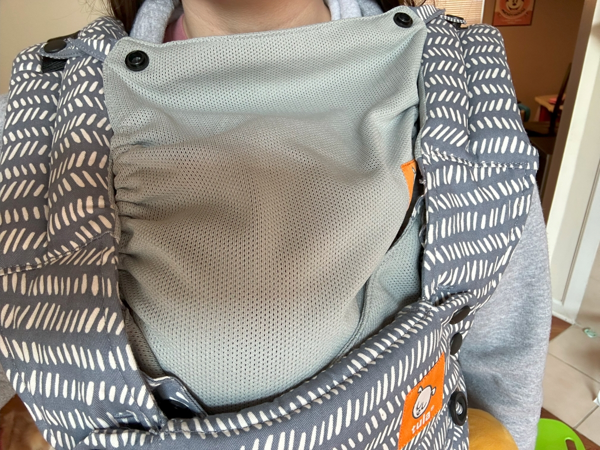 Baby Tula vs Ergobaby Baby Carrier Comparison Kid Travel